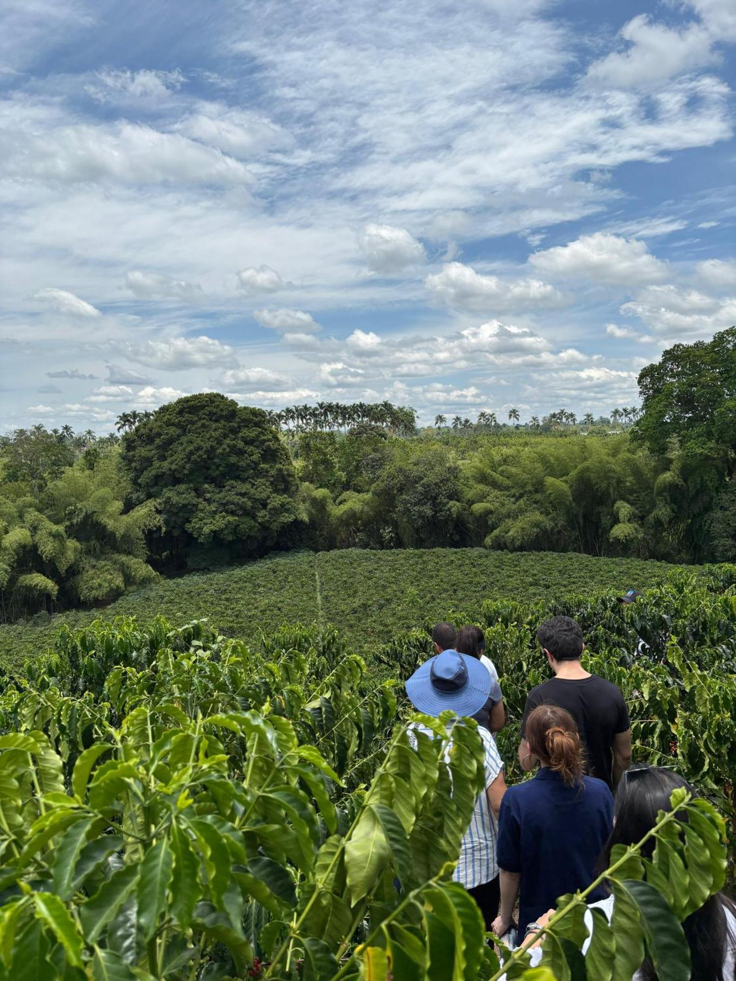 Hacienda Bambusa El Caimo Екстер'єр фото