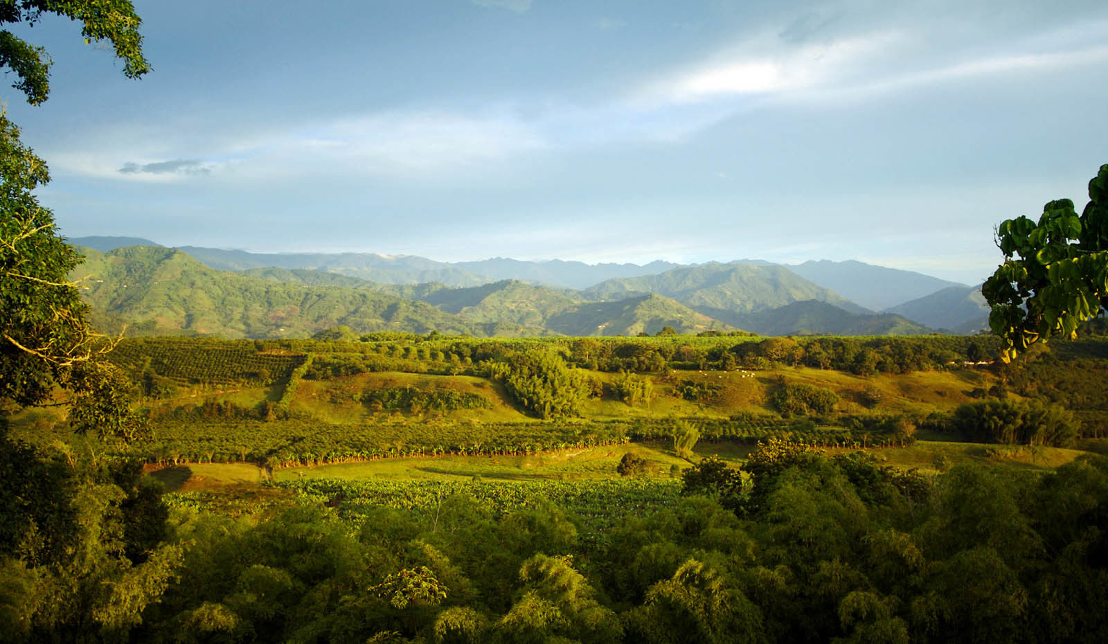 Hacienda Bambusa El Caimo Екстер'єр фото